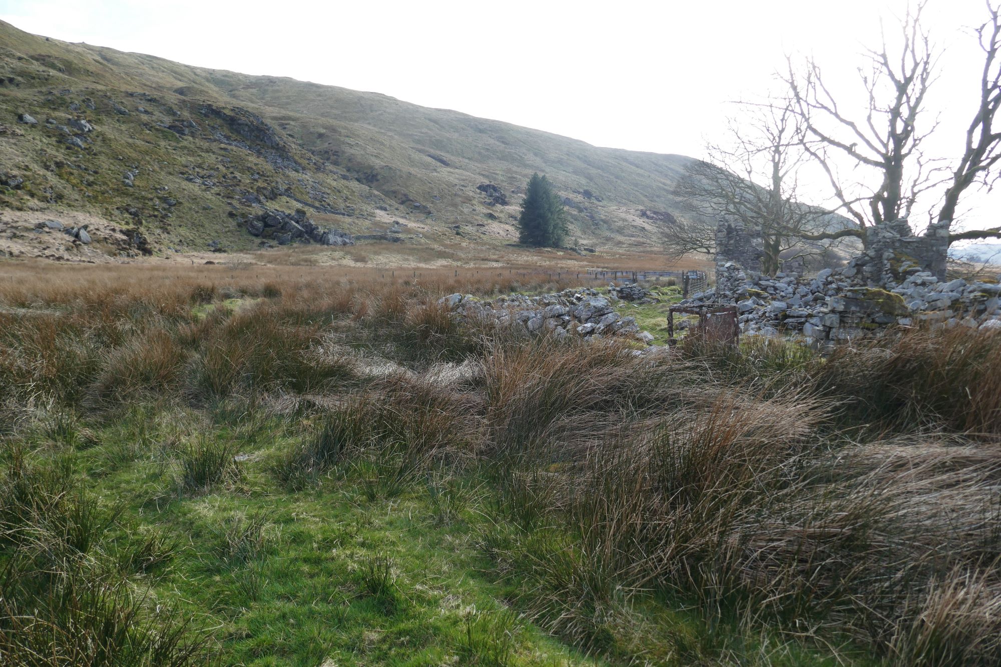 RachelSeabrook.net | Wild Walking | Cwm Gwerin | pic50